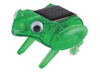 Solar powered frog photo