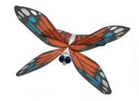 Remote controlled butterfly photo